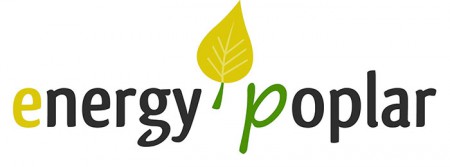 INRA Transfert - Création du logotype du projet de recherche "Energy Poplar" - Mai 2008