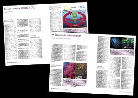 CNRS Editions - Ouvrage "Le climat à découvert" - Mise en page des articles - Création d'illustrations et de schémas - Retouche d'images - 2011 
