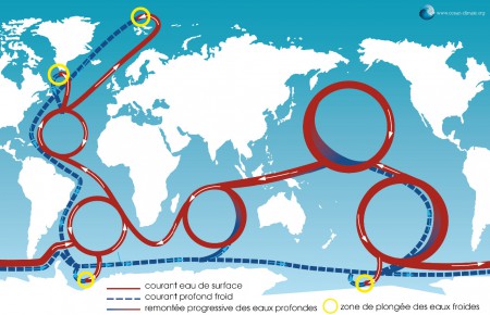 Plateforme Océan et Climat - Schéma circulation thermohaline - Mars 2015 