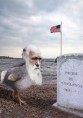 /album/illustrations/a080922-darwin-01-jpg/